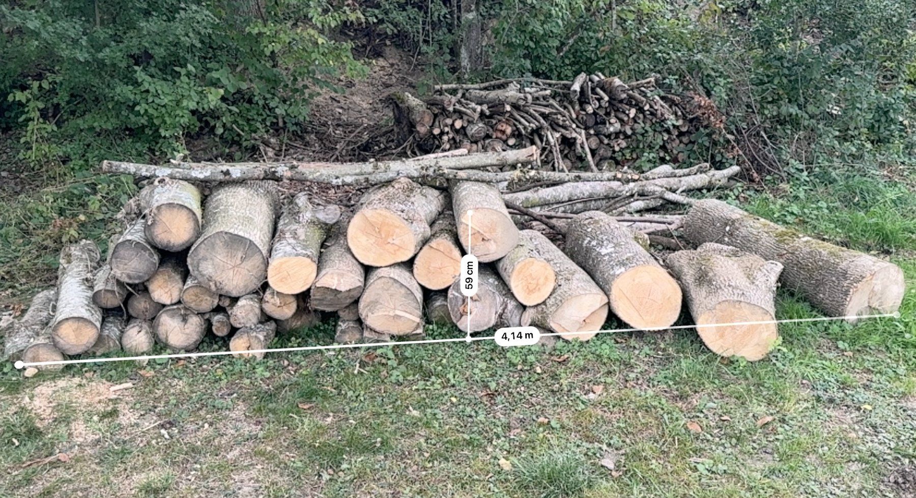 Articoli in legno: Holz Esche - Laubholz – Usato da Villmergen venduto da eschaton5