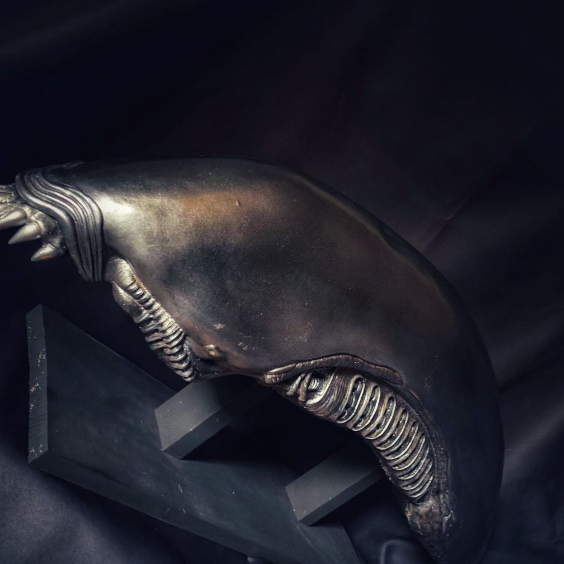 Sculture & Statue: Alien Büste AVP Aliens, Giger, Nicht Sideshow Coolprops – Nuovo (secondo la descrizione) da Glattfelden venduto da Ak_5bL 2