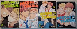 Megumi & Tsugumi 1 bis 4 Deutsch Manga