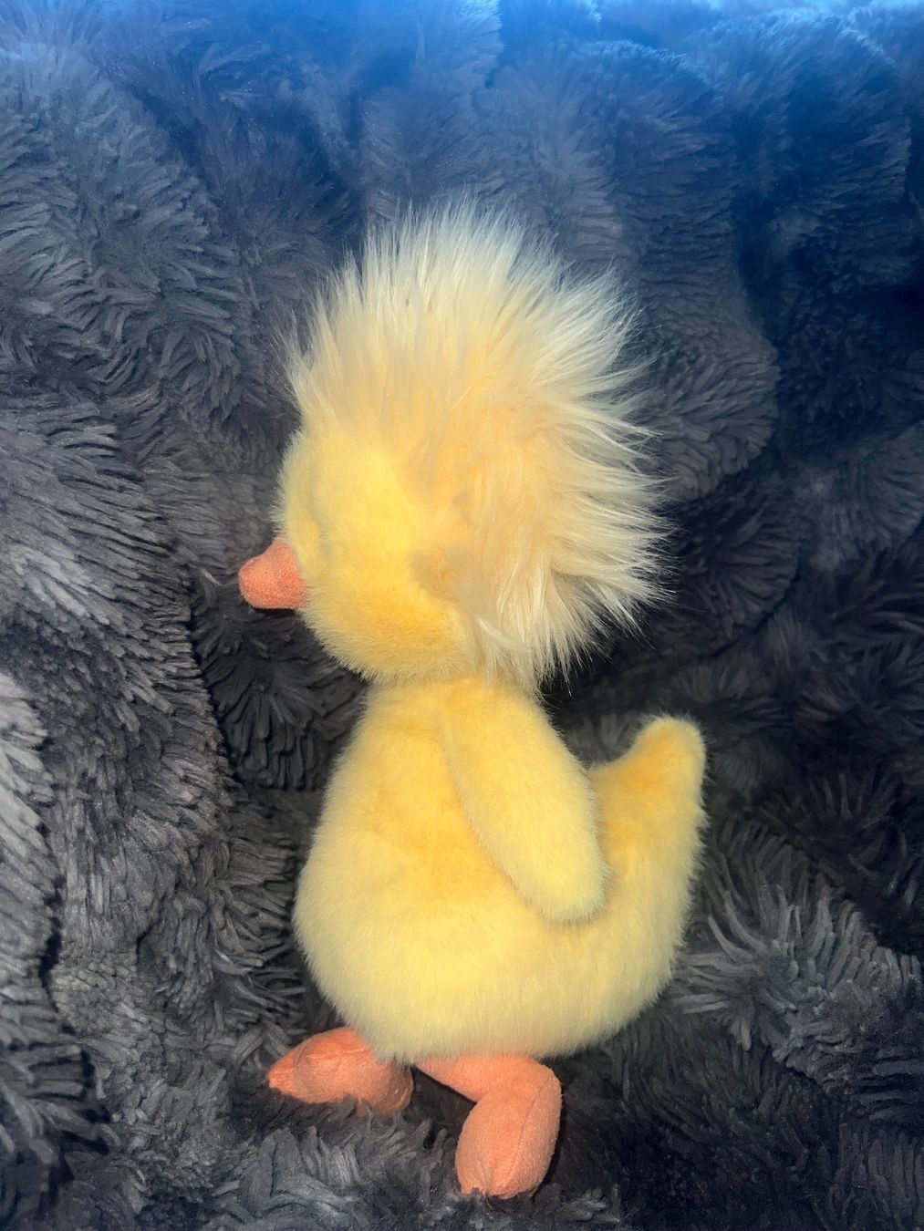 Jellycat Spielzeuge: Jellycat Dorit Duckling – Neu (gemäss Beschreibung) aus Romanshorn von duckgoescrazy 1