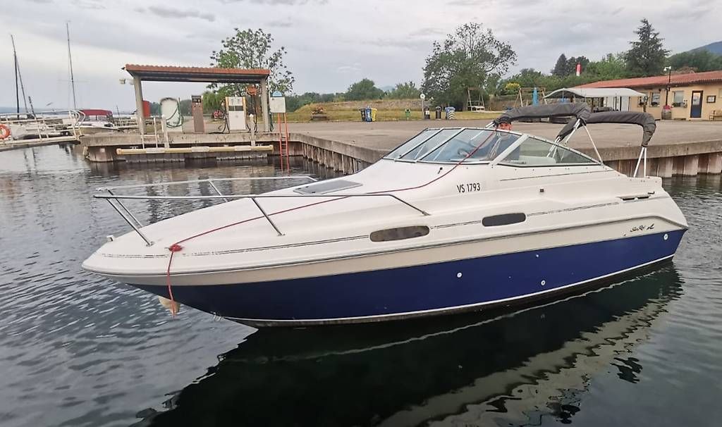 Bateaux: Bateau moteur Sea Ray – D'occasion à L'Auberson par Phil_3plus3