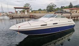 Bateau moteur Sea Ray