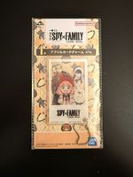 SpyxFamily CODE:White Acrylic Card Charm