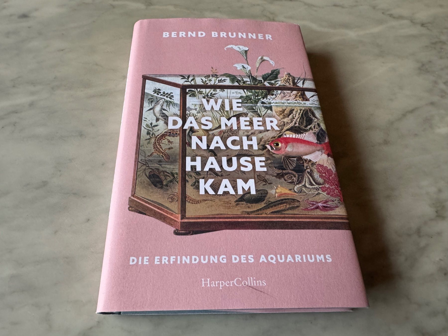 Livres: WIE DAS MEER NACH HAUSE KAM – Neuf (Voir description) à hägendorf par twilightprincess