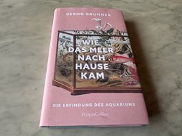 WIE DAS MEER NACH HAUSE KAM