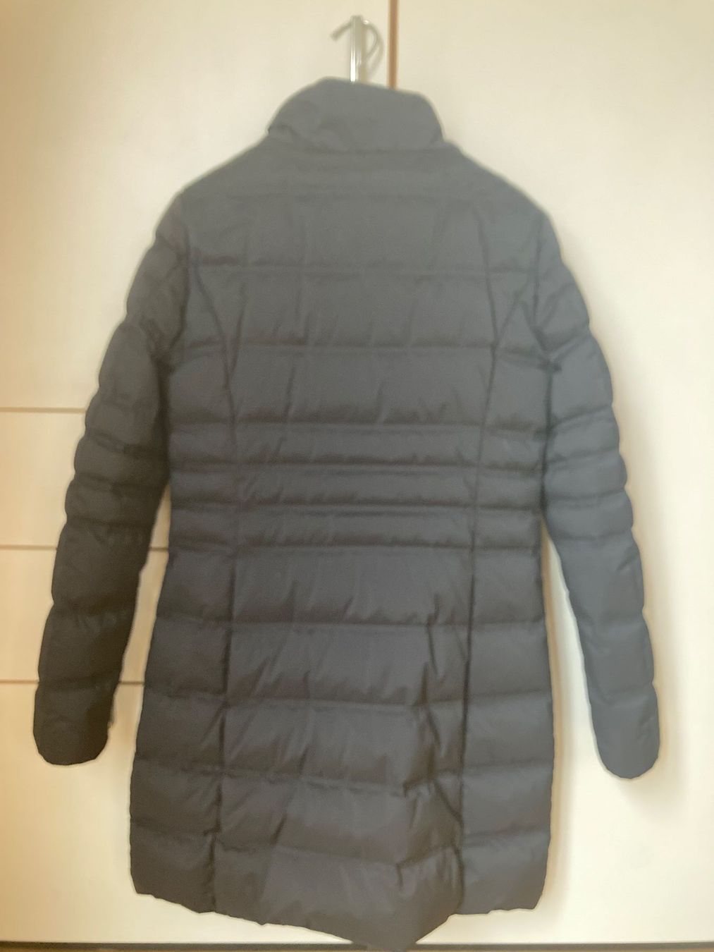 Geox Giacche: GEOX Daunen Jacke gr.42(It) – Usato da Manno venduto da tin_2vgz 5
