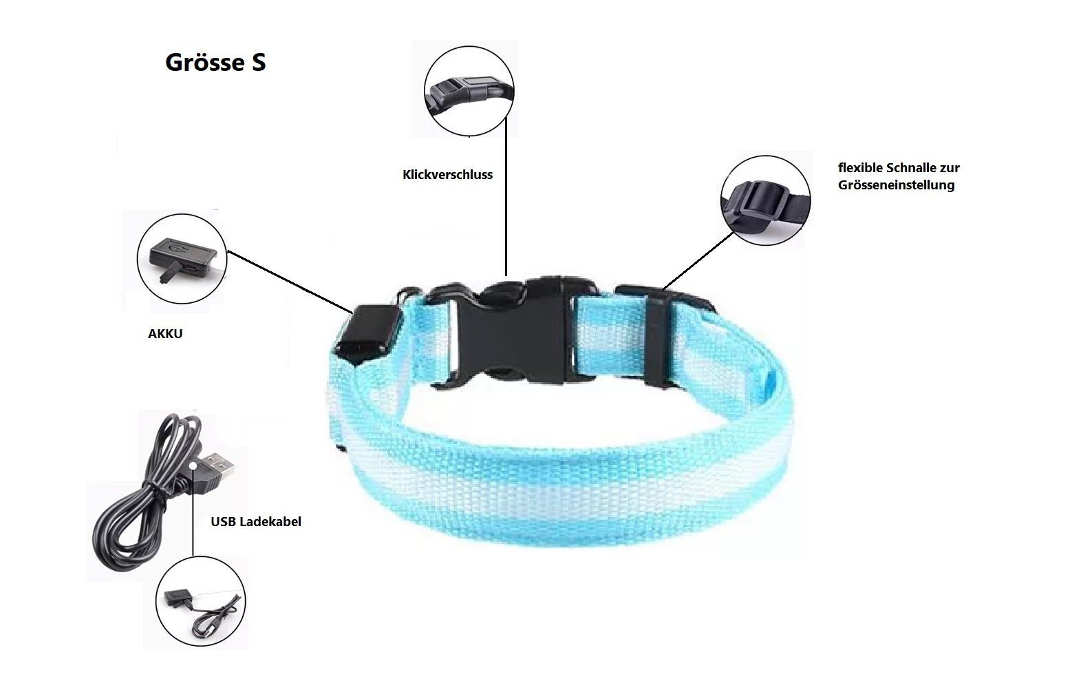Leine & Halsband: LED Hunde Leuchthalsband - Grösse S in Blau – Neu und originalverpackt aus Werdenberg von EXA-Animal-World