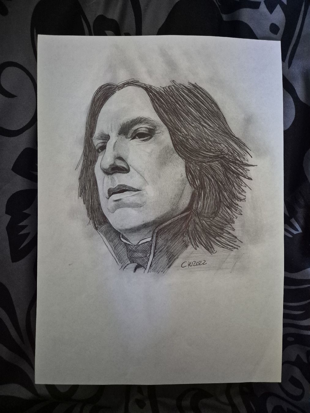 Dipinti: Portrait de Severus Rogue / Alan Rickman – Nuovo e nell'imballaggio originale da Fleurier venduto da cin_7qkd