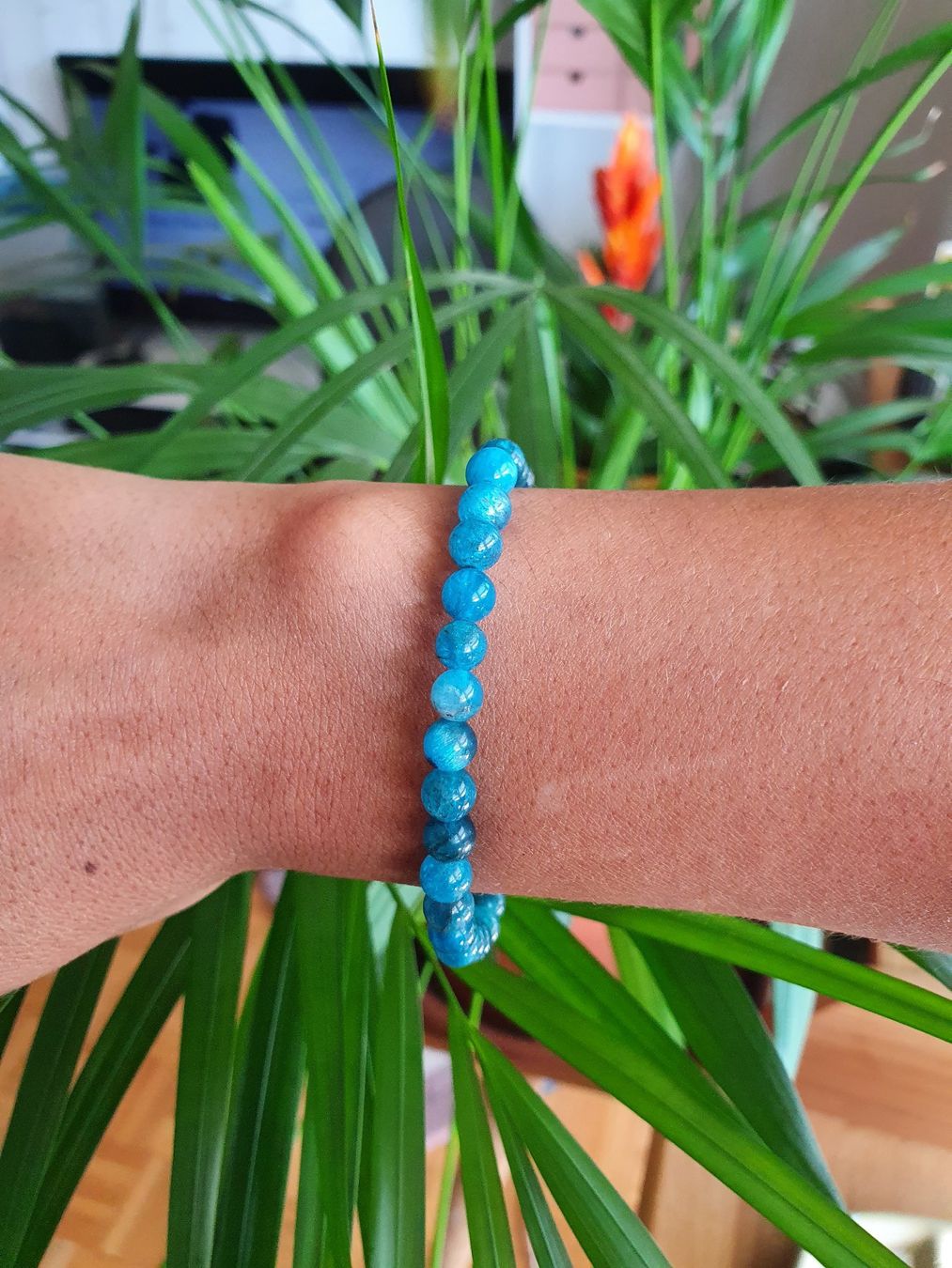 Bracciali & Braccialetti: Bracelet Apatite bleu – Nuovo (secondo la descrizione) da Cossonay-Ville venduto da cba_69tt 1