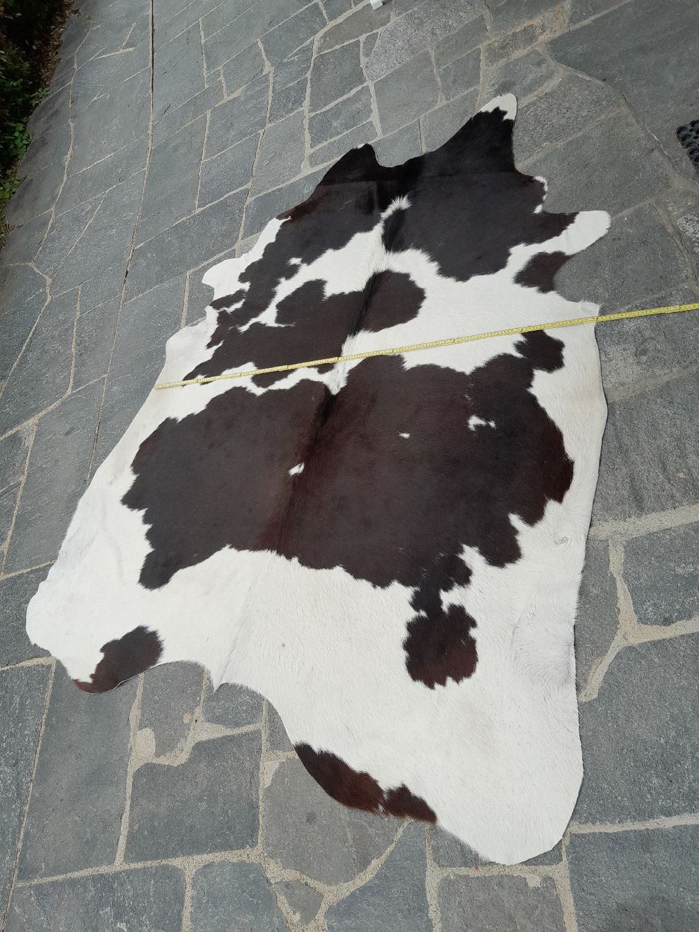 Teppiche: Kuhfell schwarz/weiss – Neu (gemäss Beschreibung) aus Wetzikon ZH von robert.kaelin 2