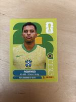 Panini BRA 15
