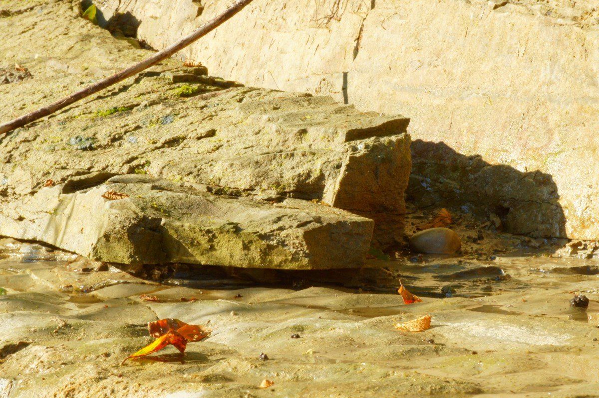 Foto & Immagini: Fotografie: Felsvorsprung – Nuovo (secondo la descrizione) da Fribourg venduto da erw_68dx