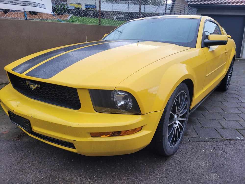 Ford mustang 4l 6 cylindre 2005 motor problème Kaufen auf Ricardo