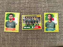FIFA WM 2026 Panini ALG 9 / 13 / 16