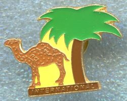 CAMEL  INTERNATIONAL