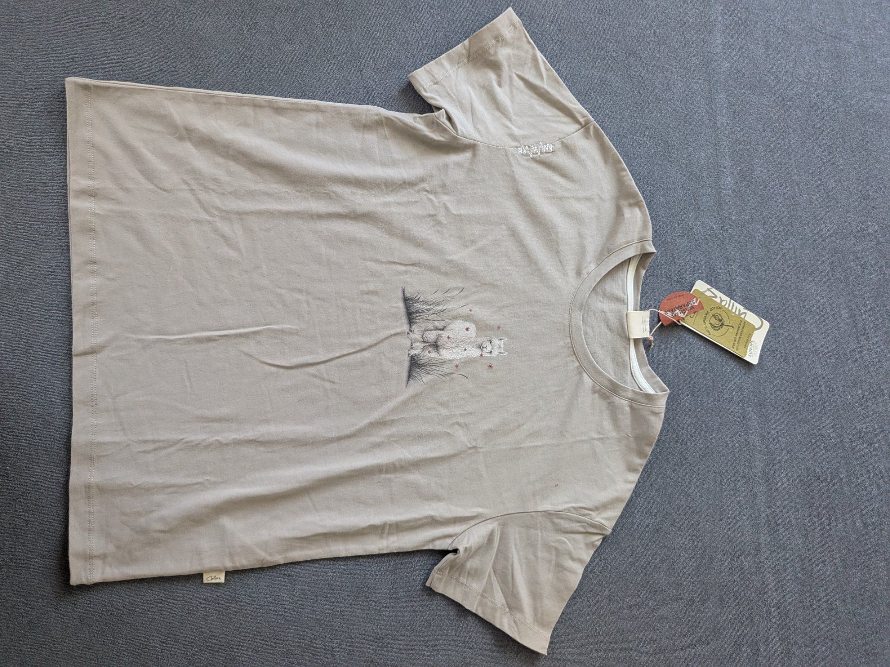 Chillaz T-shirt: Chillaz T Shirt M/38 – Nuovo (secondo la descrizione) da Langnau am Albis venduto da Ramuce