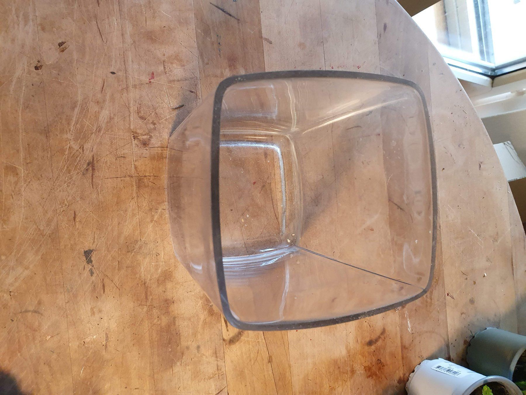 Vasi & Recipienti: blumenvase 2.5l – Usato da Zürich venduto da loosebone 1