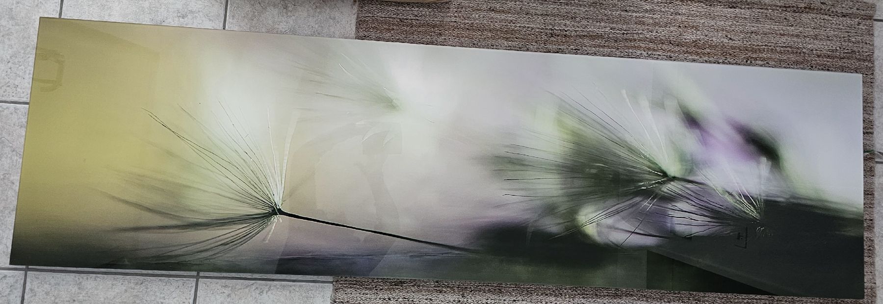 Foto & Immagini: Wandbild mit Gräsern, Grüntöne, auf Plexiglas – Usato da Effretikon venduto da beb_qkz8