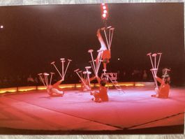 Circus Knie Foto 1984