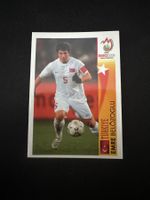 Panini UEFA EM 2008 Sticker - Nr. 484