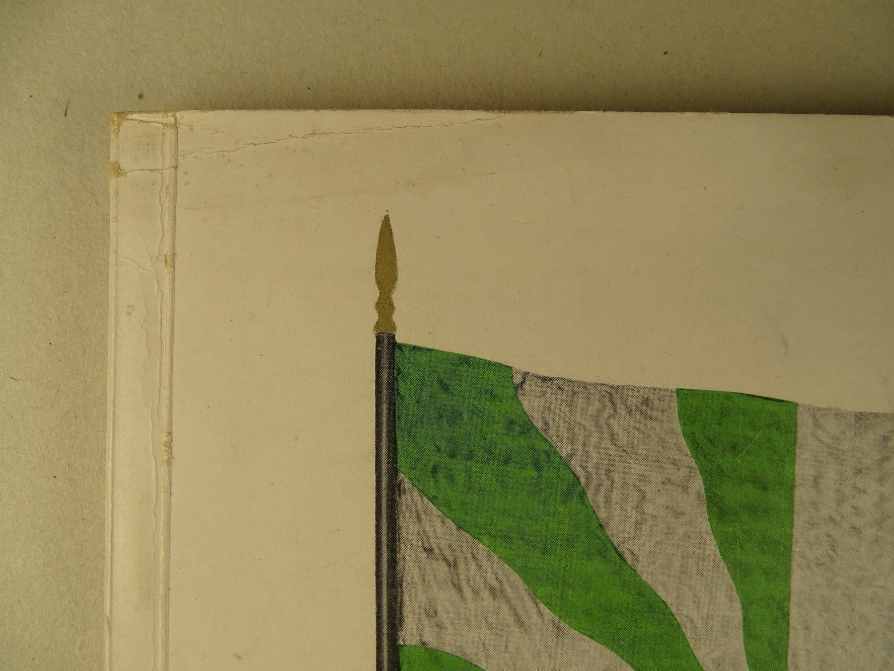 Libri: ST. GALLER FAHNENBUCH 1939 – Usato da Grüningen venduto da Kartensammler 8