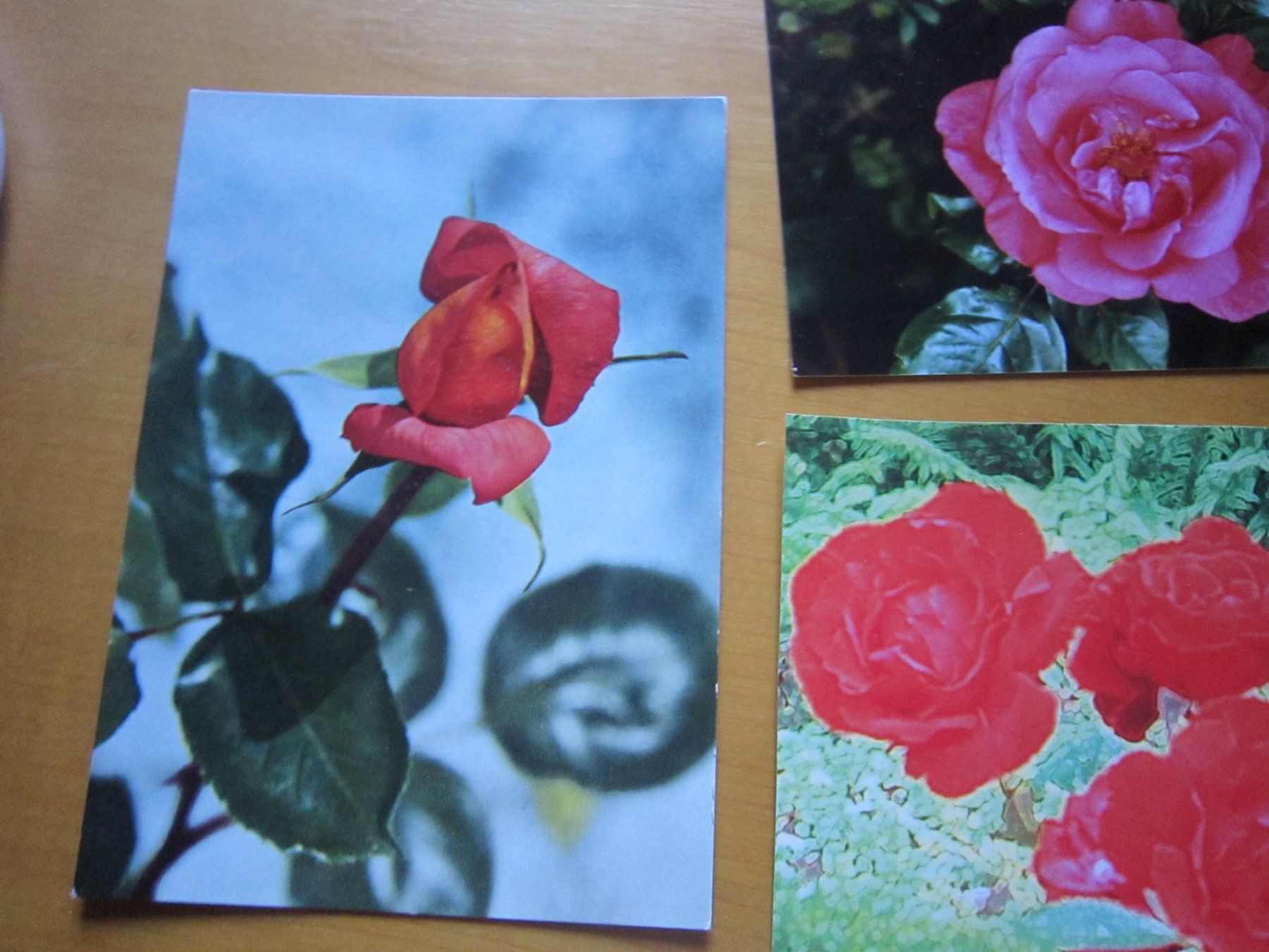 Cartes postales: No2 schöne Postkarten Blumen – D'occasion à Gordola par Polentaefung 3