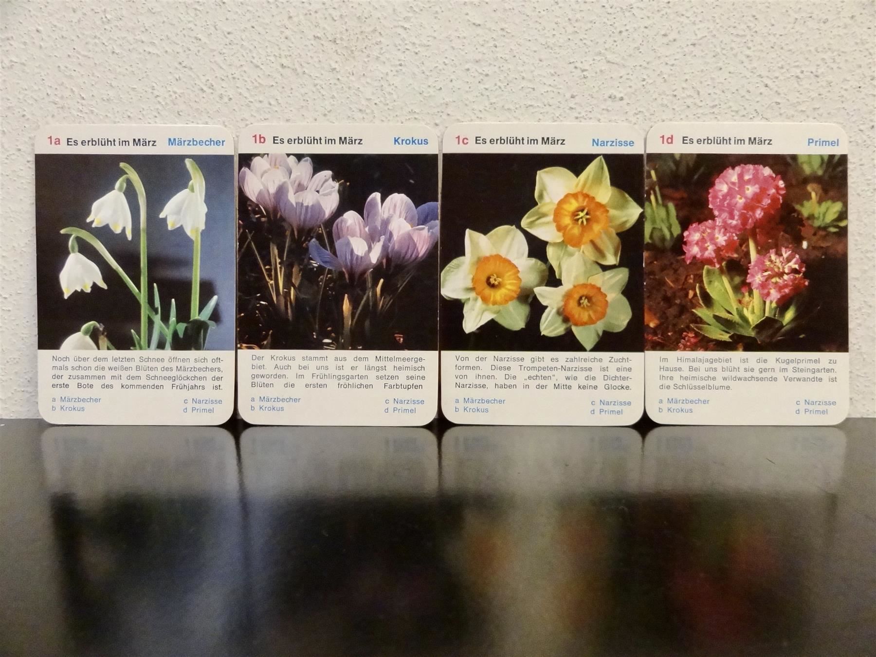 Giochi: altes Quartett BLUMEN-QUARTETT BLUMEN – Usato da Kerzers venduto da wisaundso 3