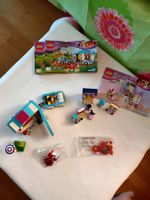 Lego Friends Set