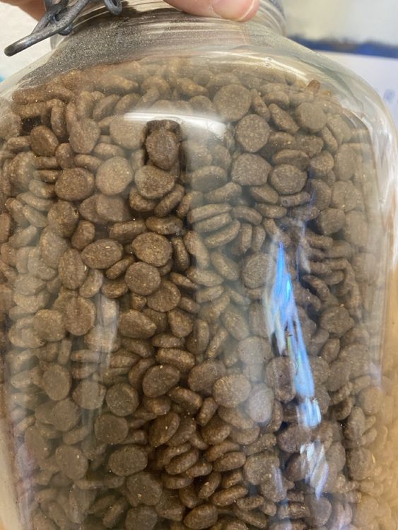 Katzenfutter Orijen Original Cat 2.345 kg (Neu (gemss Beschreibung)) in  Hnibach fr CHF 10  mit Lieferung auf Ricardo kaufen