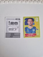 Panini Sticker BIH3