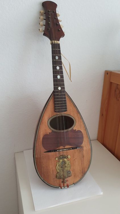 Raffaele Calace Mandoline (Gebraucht) in Dietikon für CHF 60 – nur ...