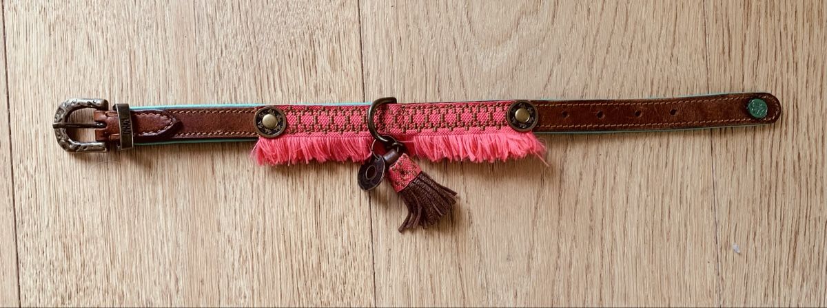 Guinzagli & Collari: Hundehalsband Echtleder – Nuovo (secondo la descrizione) da Hettlingen venduto da Timba02 1