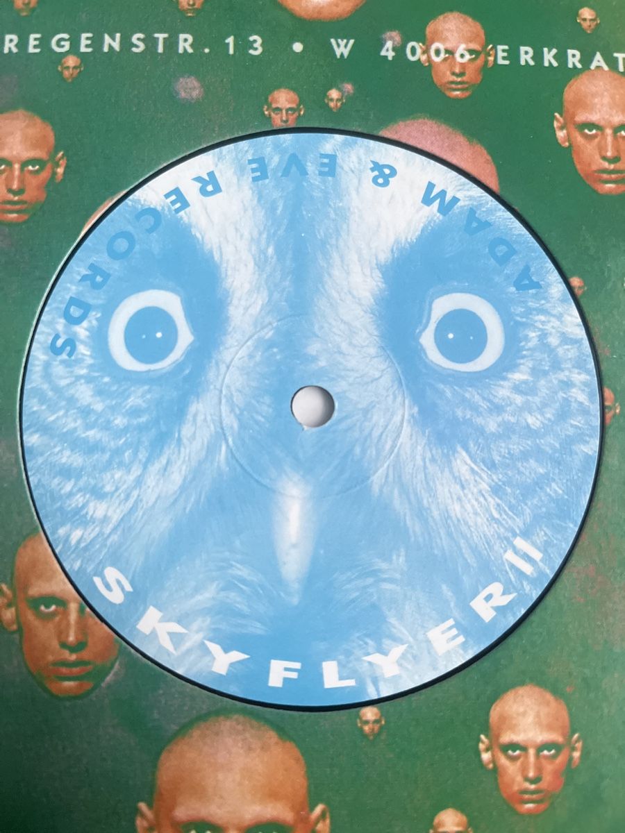 Dischi in vinile: Skyflyer II Techno Vinyl – Usato da Wangen b. Olten venduto da break72 1