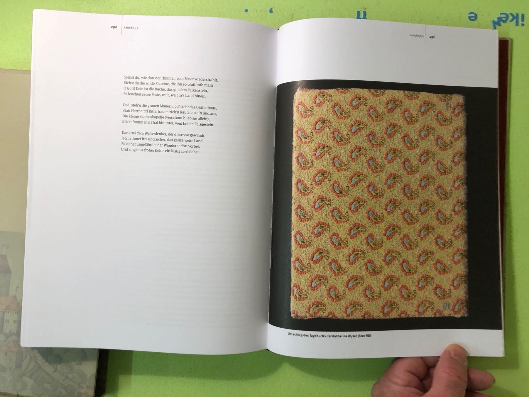 Bücher: Beat Hodler: Niedergösgen. – Gebraucht aus Zürich von allp 9