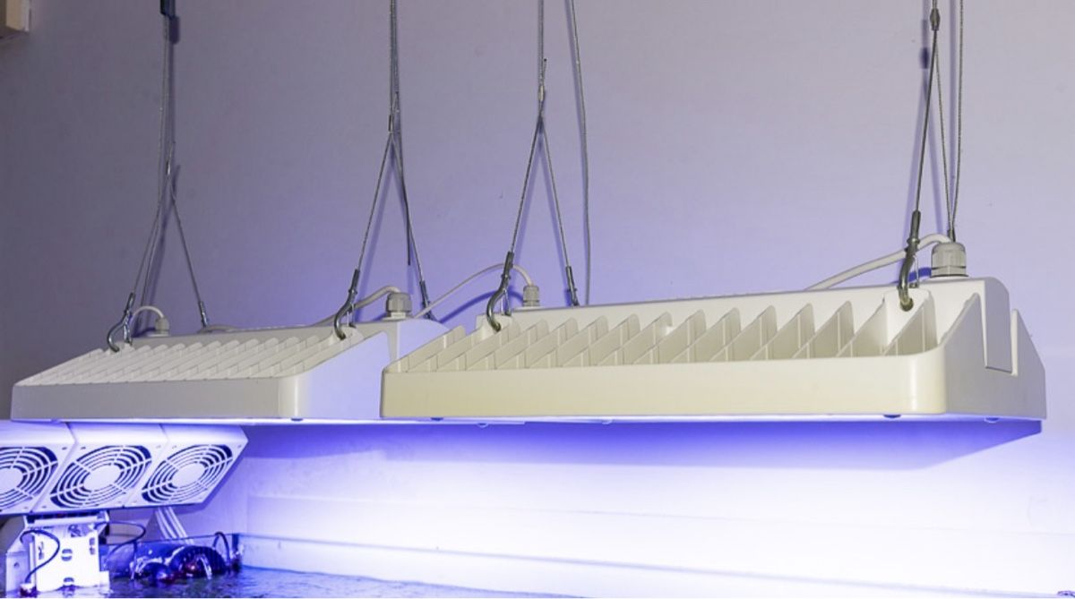 Philips Lampen: Philipps – Gebraucht aus Muttenz von SunnyPower01 2