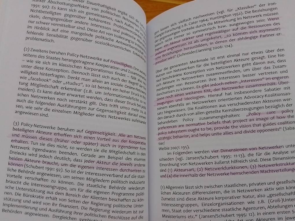Libri: Politikfeldanalyse – Usato da Dänikon ZH venduto da spr_rqw2 1