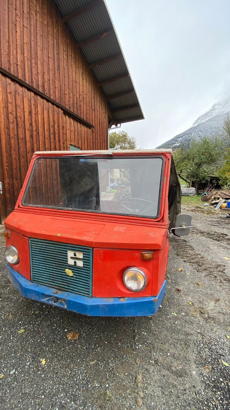 Reform Trattori: Reform Muli 40 – Usato da Poschiavo venduto da Peter_ise