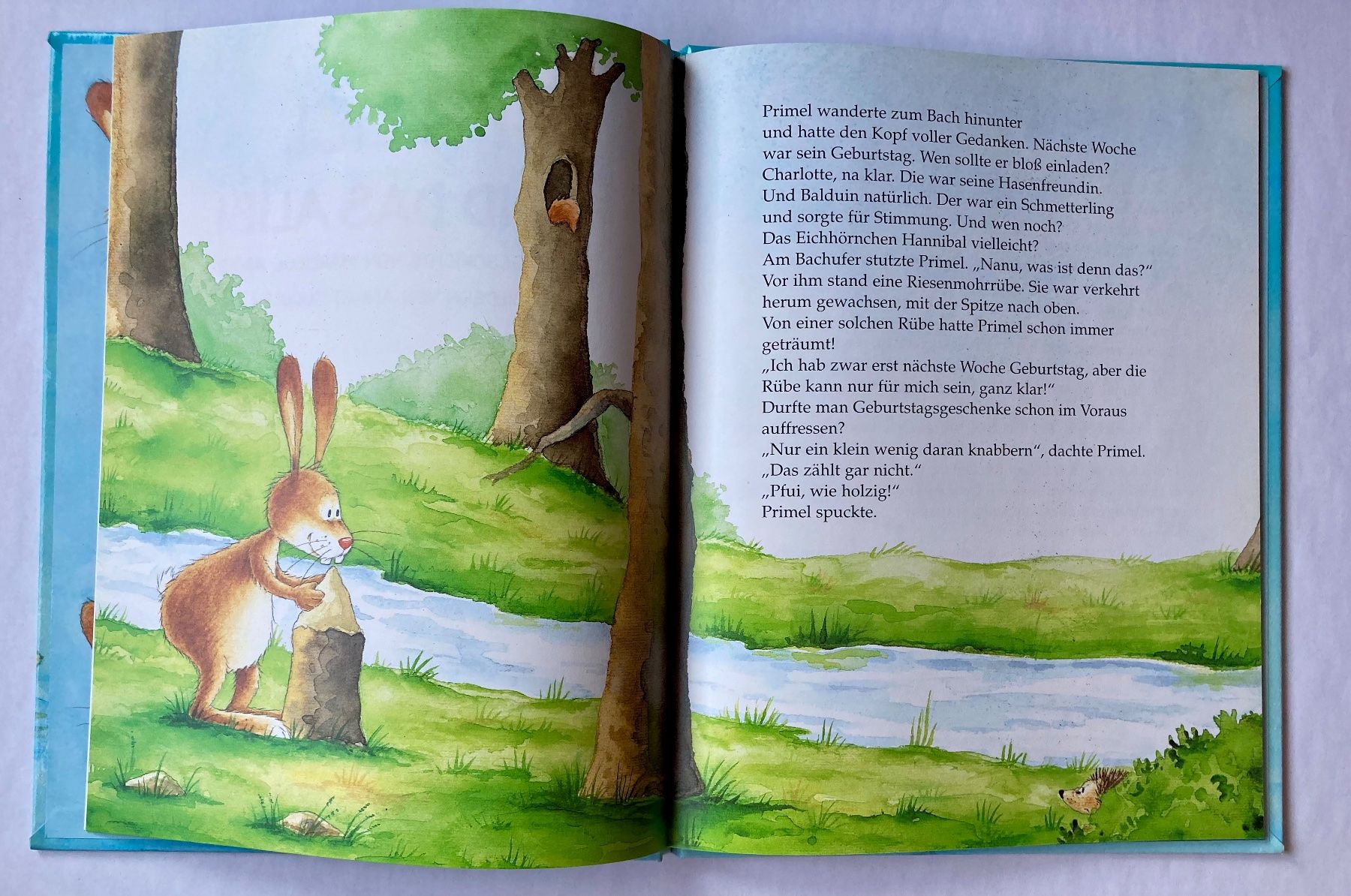 Livres: PRIMEL UND DAS ALIBI – Neuf (Voir description) à Bubendorf par Alpenheidi 3