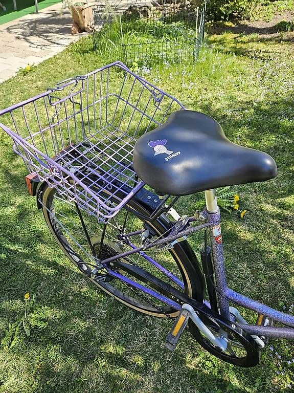 Biciclette: City Bike Tigra – Usato da Bonstetten venduto da Benibanny59 3