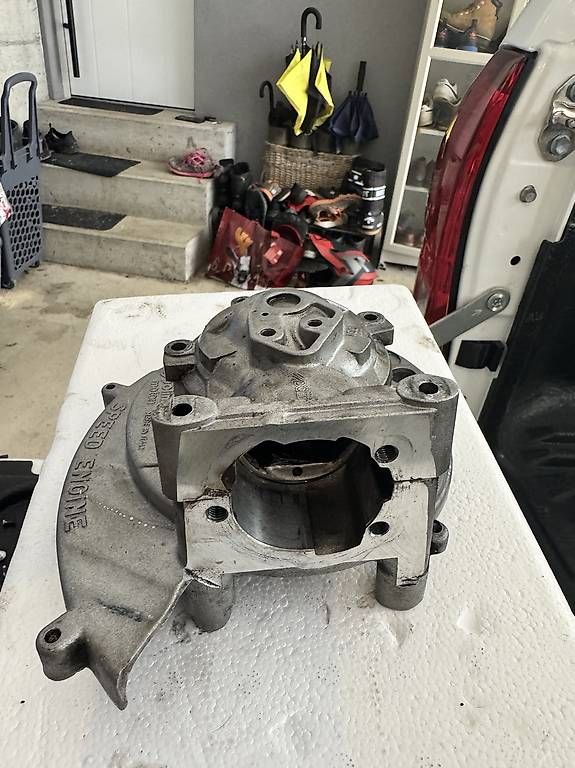 Mofas: Polini speed engine – Gebraucht aus Sonvico von MirkoBernasconi 1