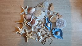 Sommer Meer deko