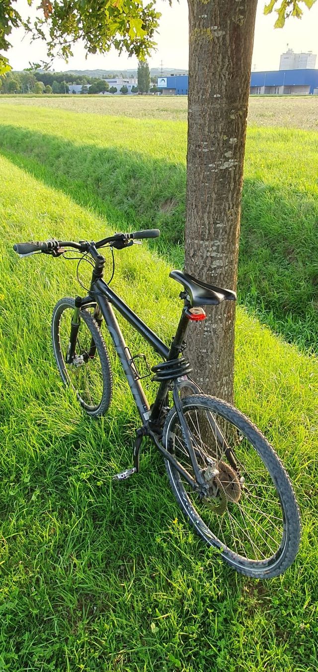 Giant Biciclette: Giant XTC 2.0 anthrazit 19'' Mountainbike – Usato da Märstetten venduto da activemember 6