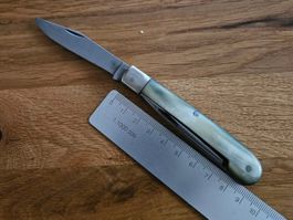 Taschenmesser mit Hornschalen