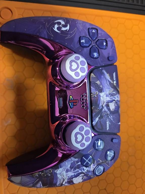 Controller: PS5 Controller individualisiert – Usato da Lüterkofen venduto da Pixellore