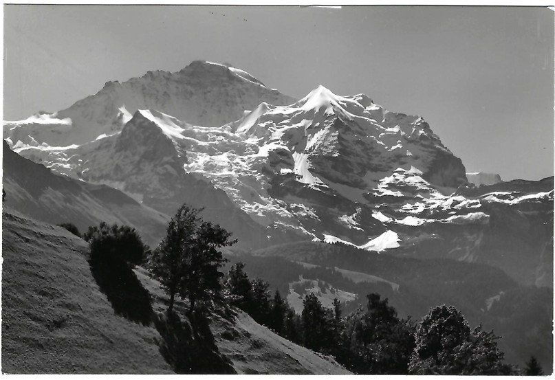Cartoline postali: AK Jungfrau - Wengen - Stempel 29.7.61 – Usato da Rheinfelden venduto da wil_m7gh