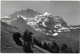 AK Jungfrau - Wengen - Stempel 29.7.61