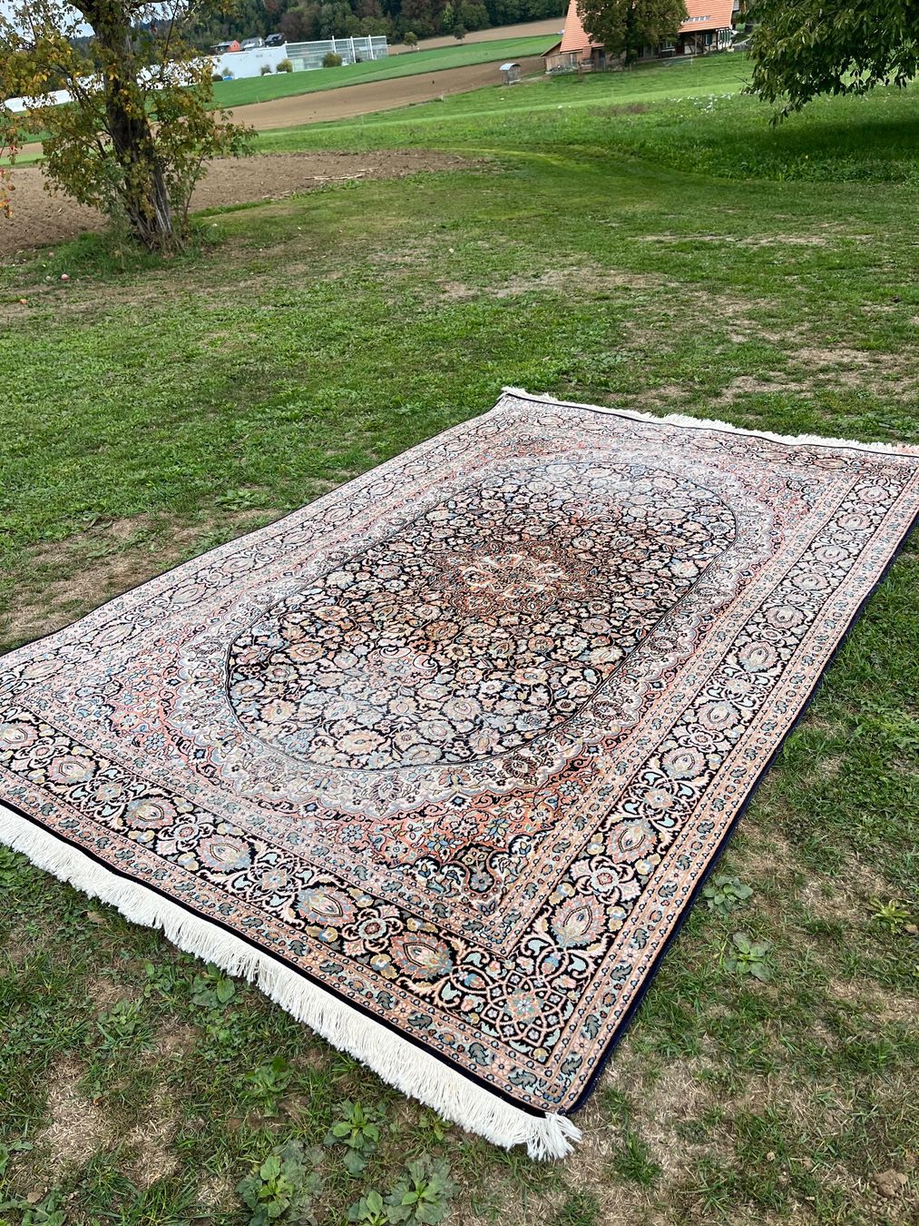 Tappeti: Orientteppich Seide Iran Handgeknüpft – Usato da Allmendingen b. BE venduto da juair 3
