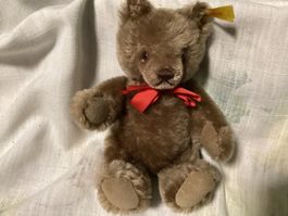 STEIFF TEDDY MIT KNOPF UND FAHNE