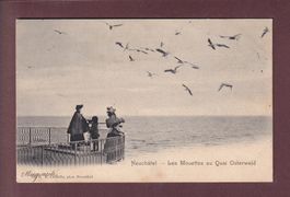 NEUCHÂTEL - Les Mouettes au Quai Osterwald - 1906
