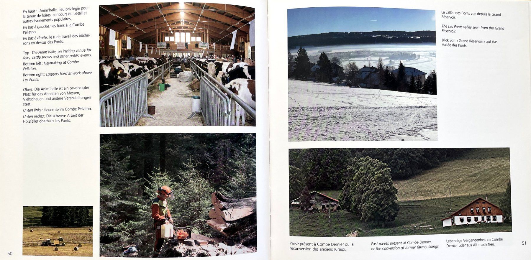 Libri: Les Ponts-de-Martel - Passé-Présent – Usato da Savagnier venduto da Ne2065 5